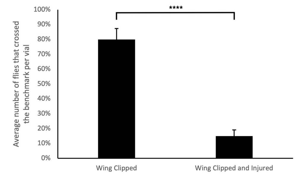 Magneflycents_FINAL_Figure 2